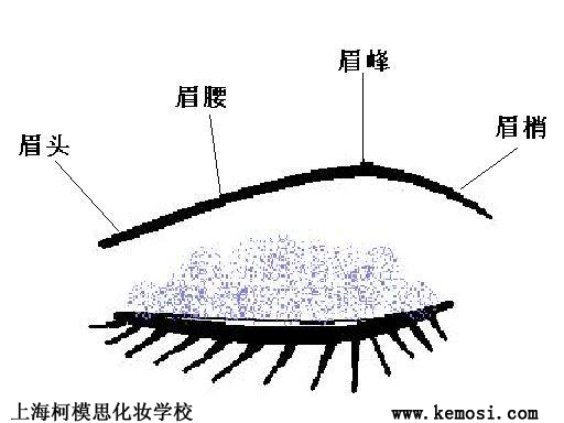 眉毛怎么画？化妆学校为你详细解说，上海柯模思化妆学校